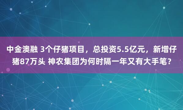 中金澳融 3个仔猪项目，总投资5.5亿元，新增仔猪87万头 神农集团为何时隔一年又有大手笔？