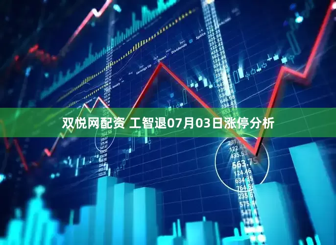 双悦网配资 工智退07月03日涨停分析