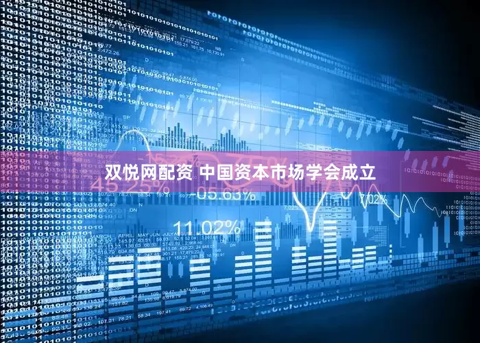 双悦网配资 中国资本市场学会成立