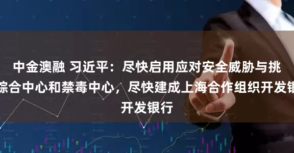 中金澳融 习近平：尽快启用应对安全威胁与挑战综合中心和禁毒中心，尽快建成上海合作组织开发银行